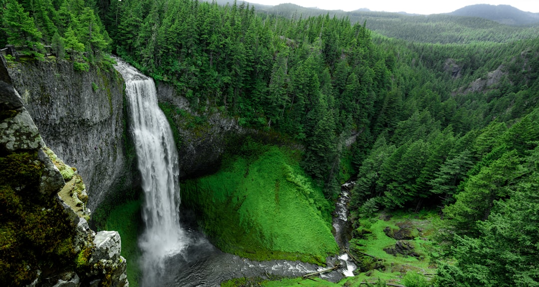 The Healing Power of Nature’s Medicine